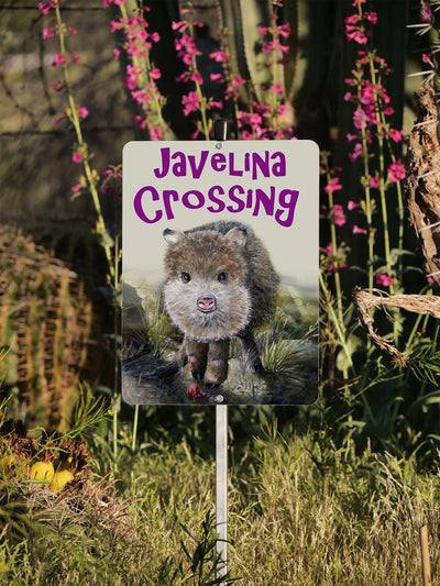 Baby Javelina Crossing Sign