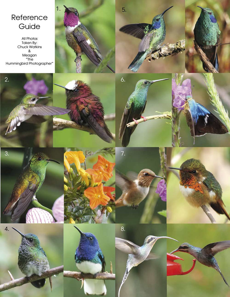 The Hummingbirds of Costa Rica Coloring Book