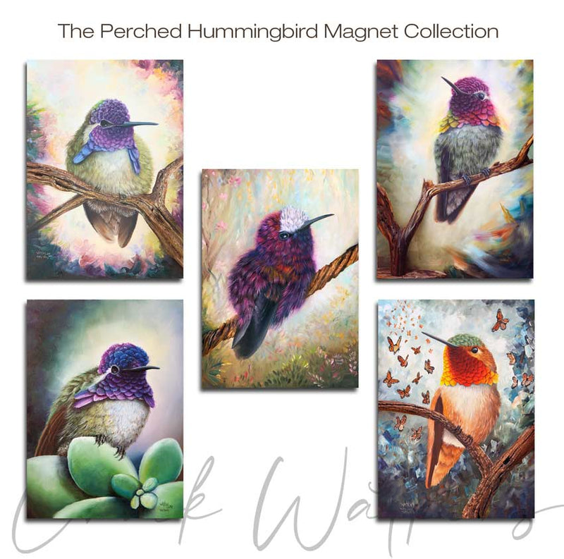 Perched Hummingbird Magnet Collection