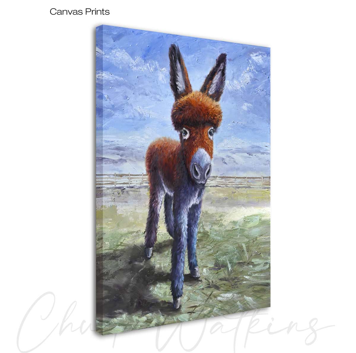 Oliver Twist the Burro.