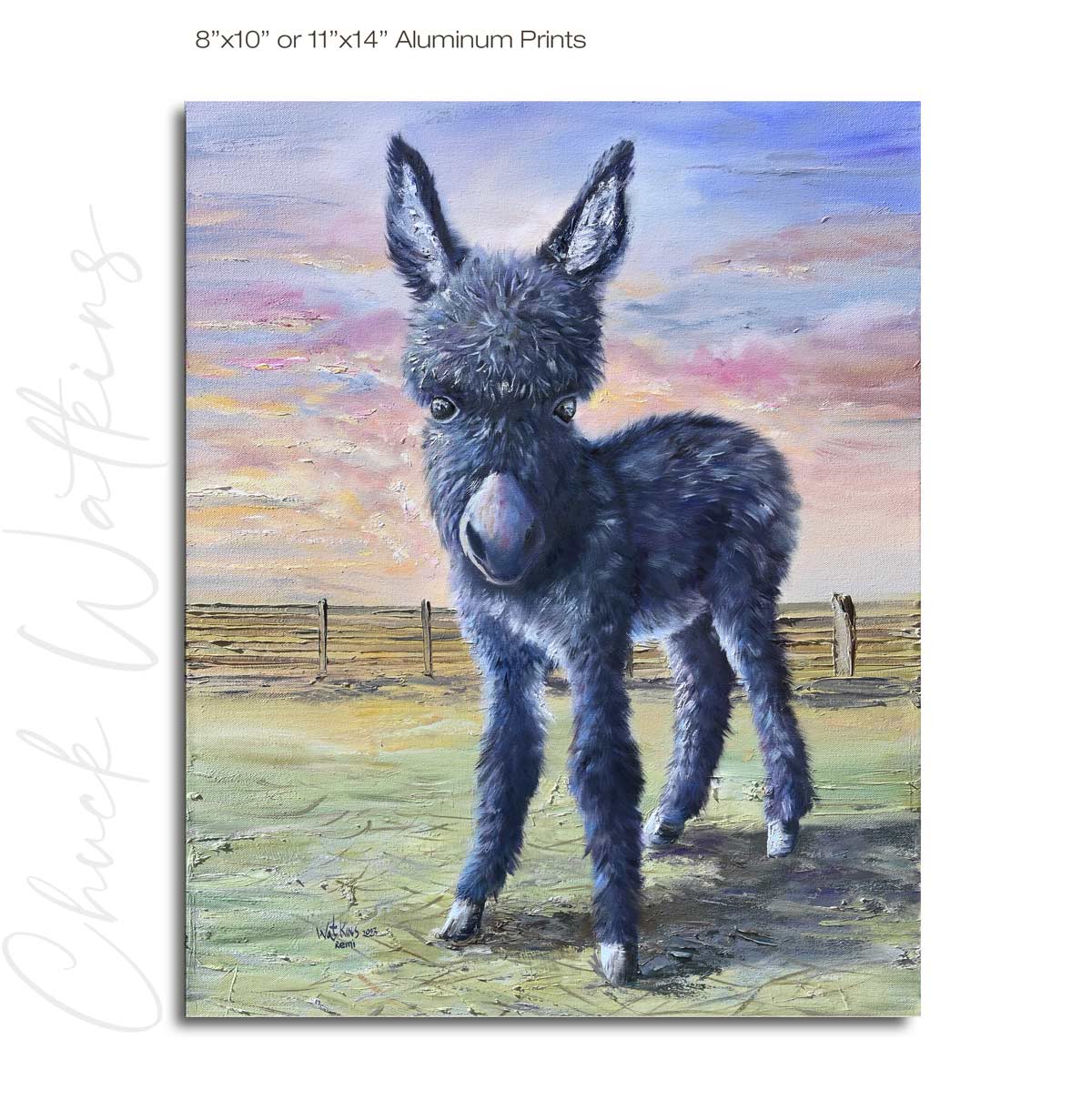 Remi the Baby Burro.