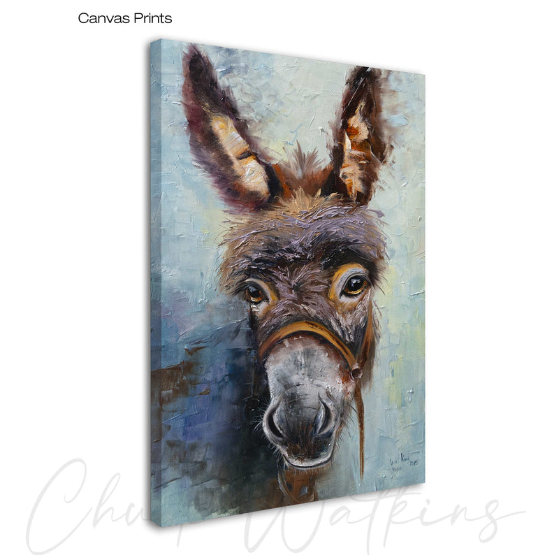 Rosie the Burro