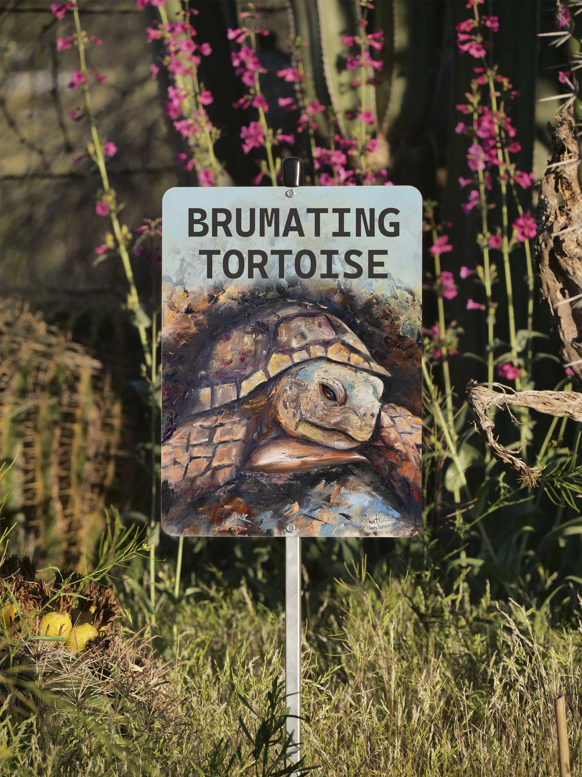 Brumating Tortoise Sign