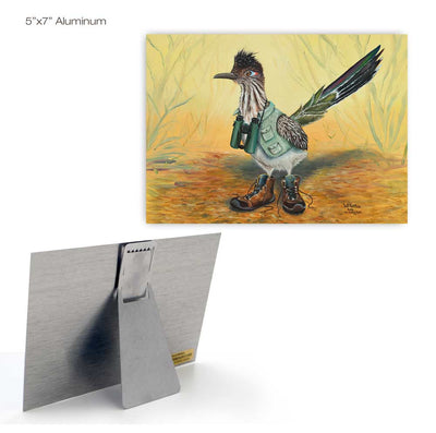 Buddy the Birding Roadrunner