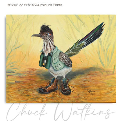 Buddy the Birding Roadrunner