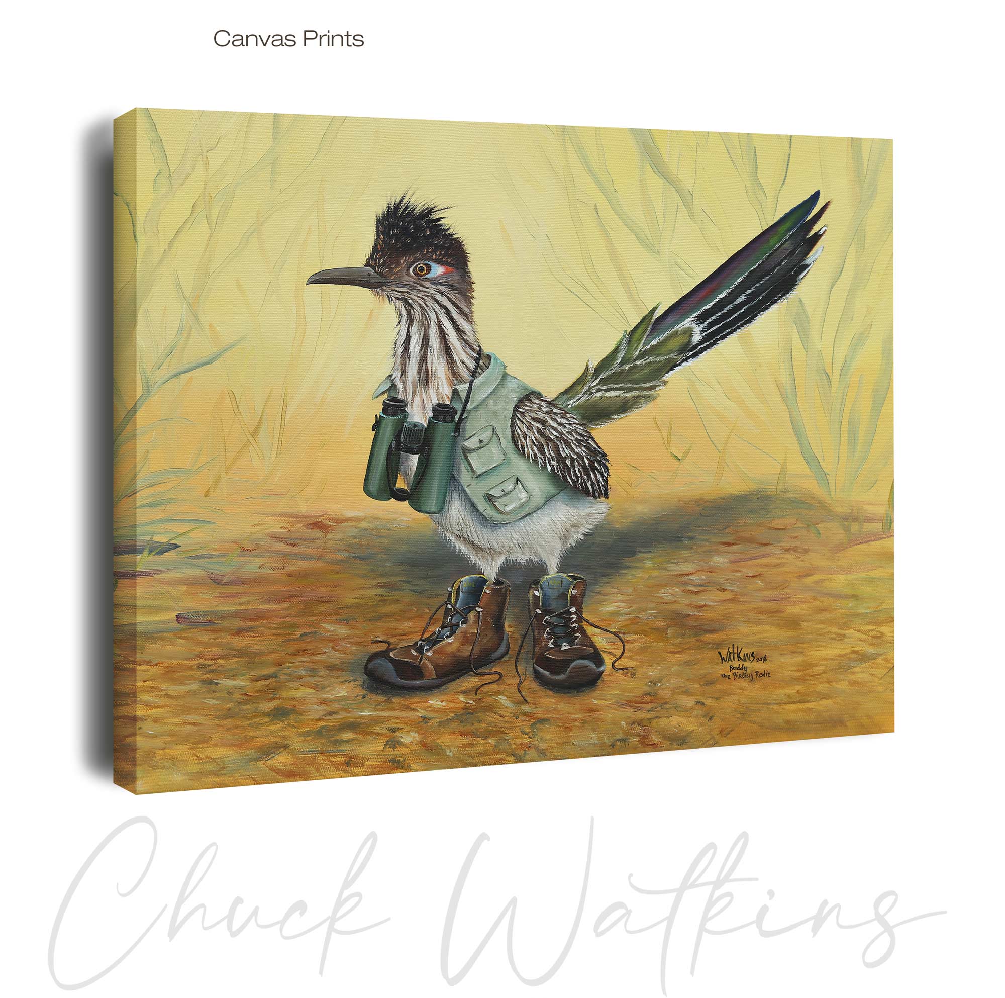 Buddy the Birding Roadrunner