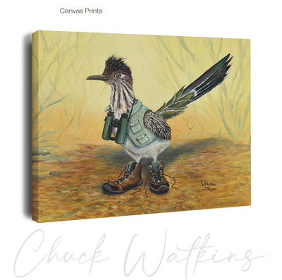 Buddy the Birding Roadrunner