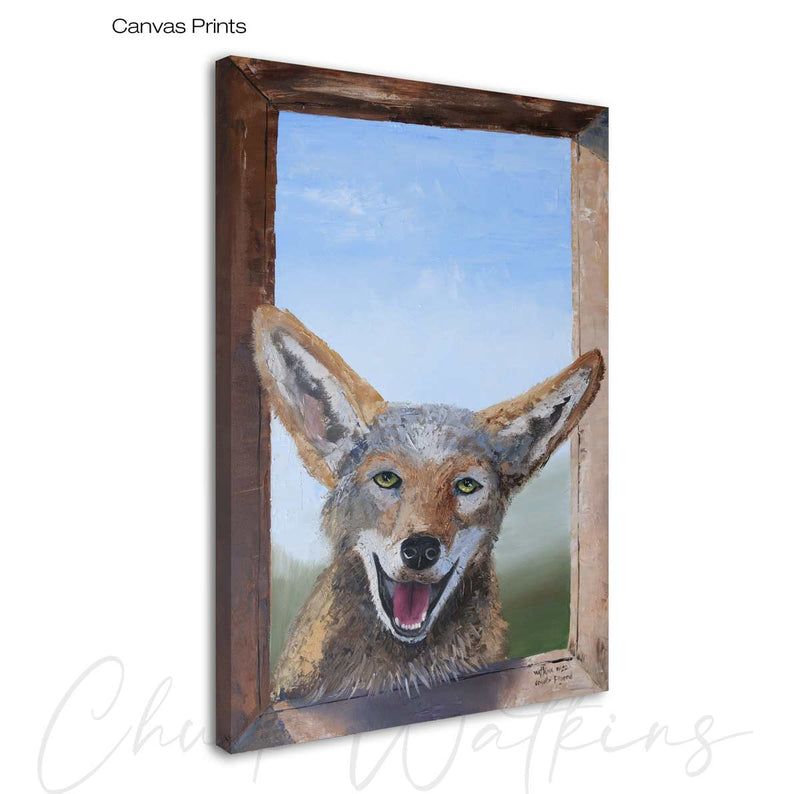 Coyote Friend