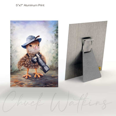 Quinn the Baby Quail