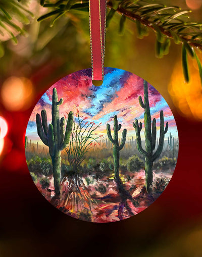 Saguaro National Park2