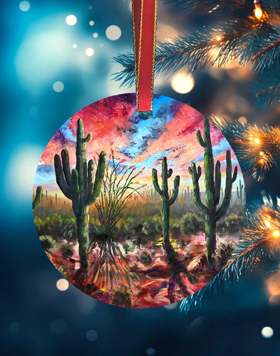 Saguaro National Park2