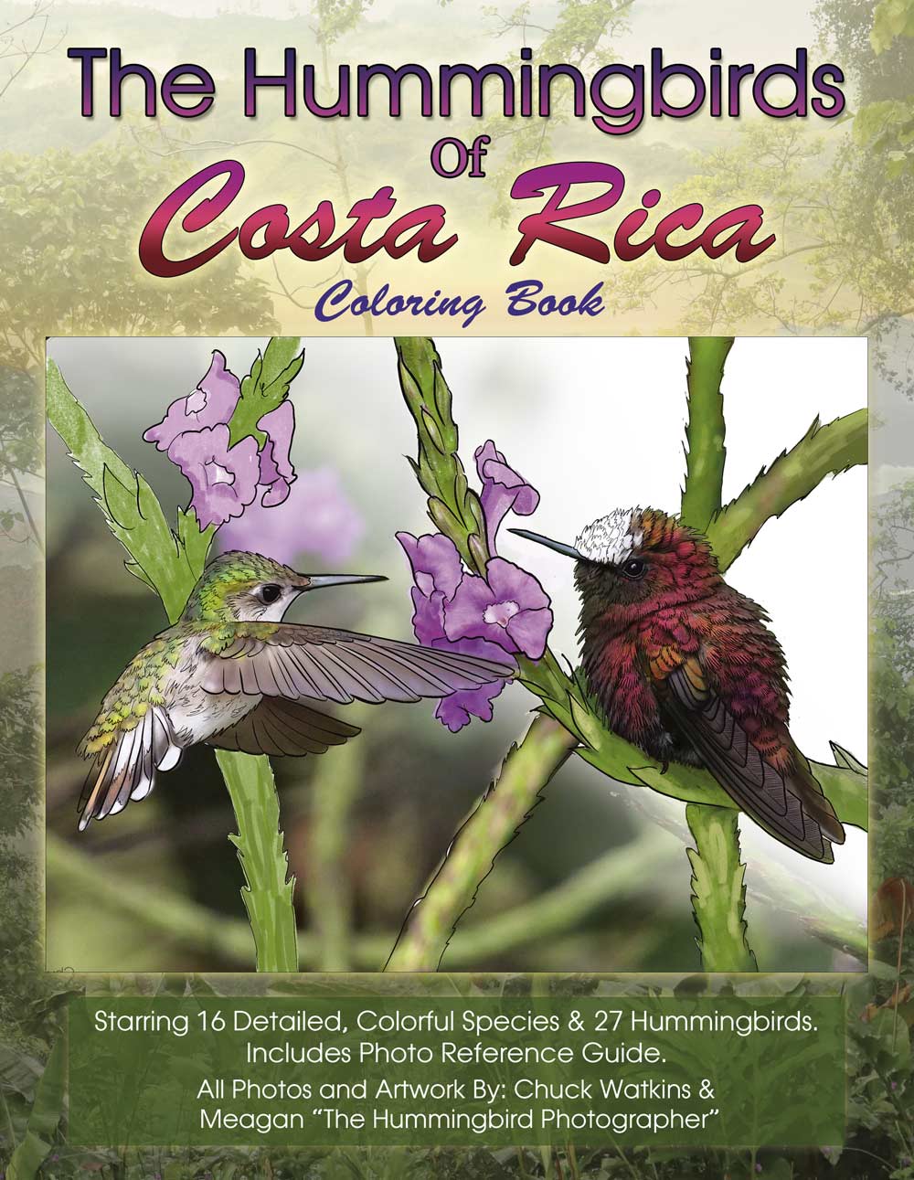 The Hummingbirds of Costa Rica Coloring Book