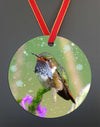 Volcano Hummingbird Ornament
