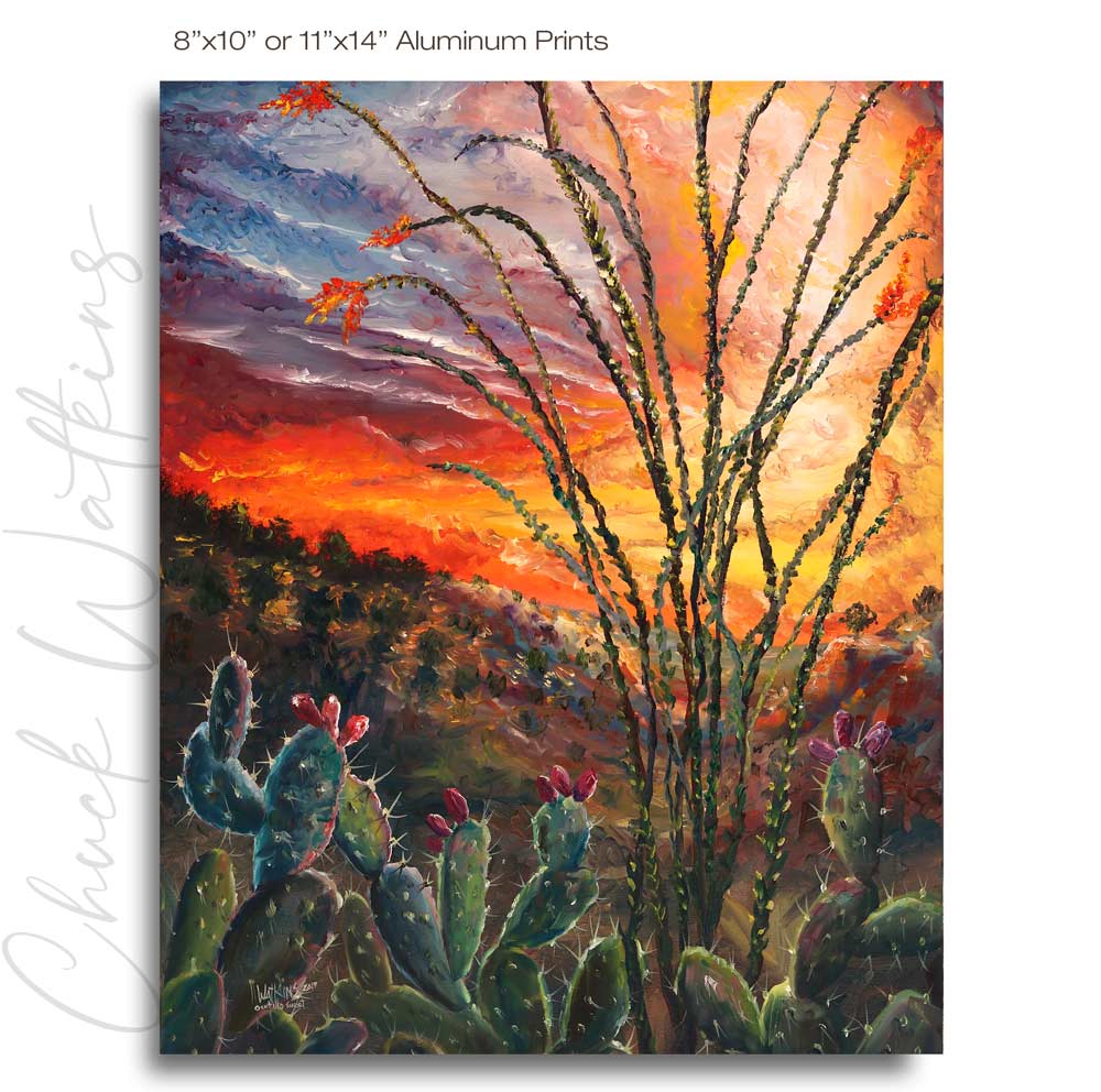 Ocotillo Sunset