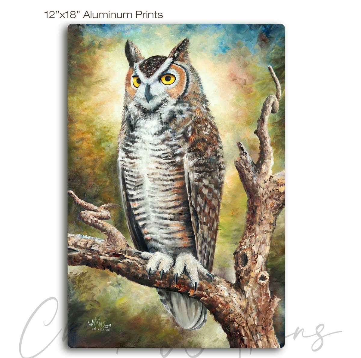 Oro Valley Owl Aluminum 12"x18"