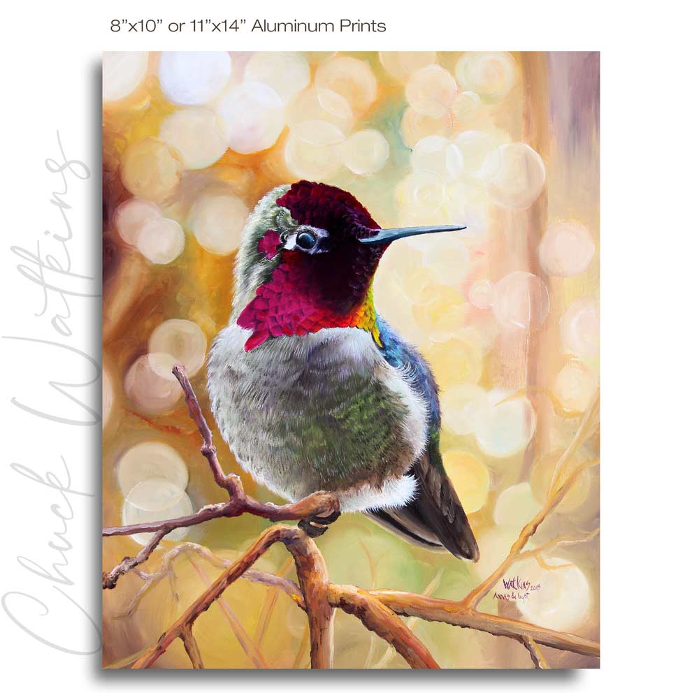 Flying hummingbird in colour by But First Framing on canvas, poster,  wallpaper and more