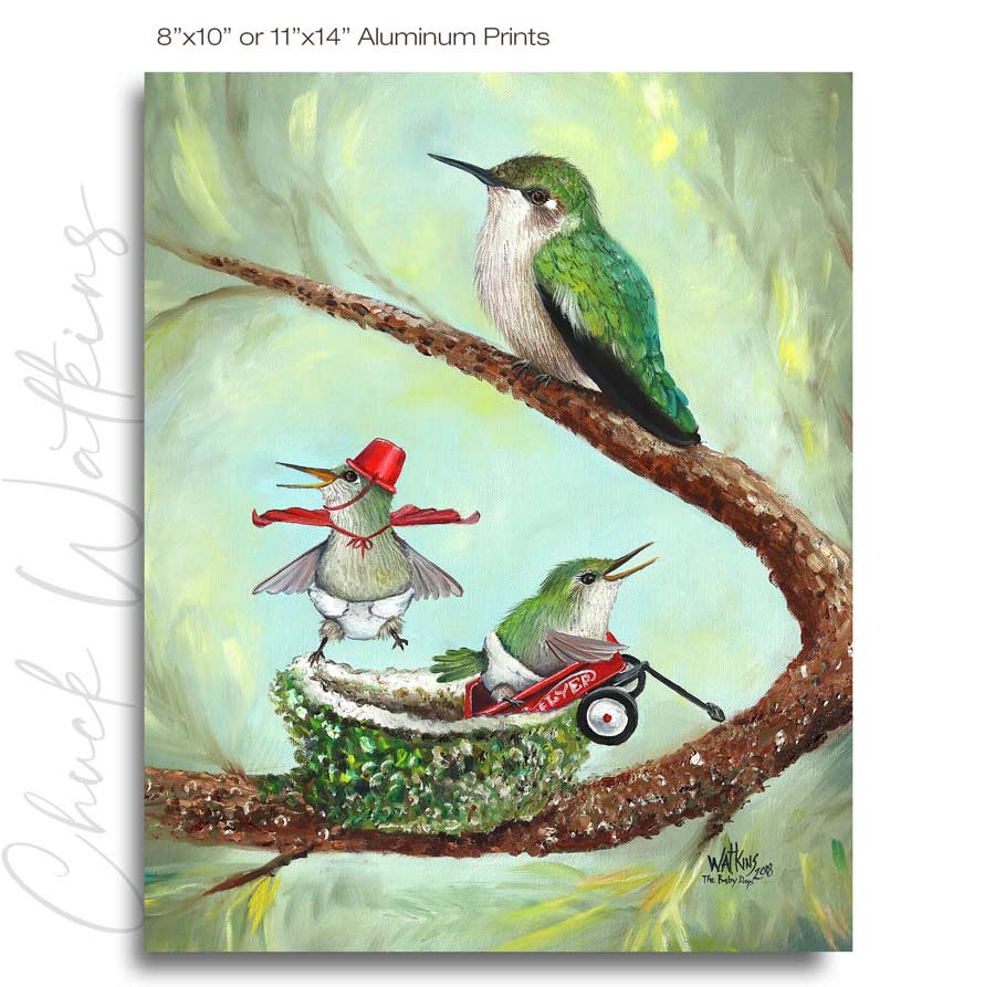 Baby Hummingbirds