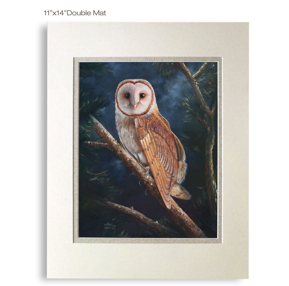 Vibrant Barn Owl Portrait