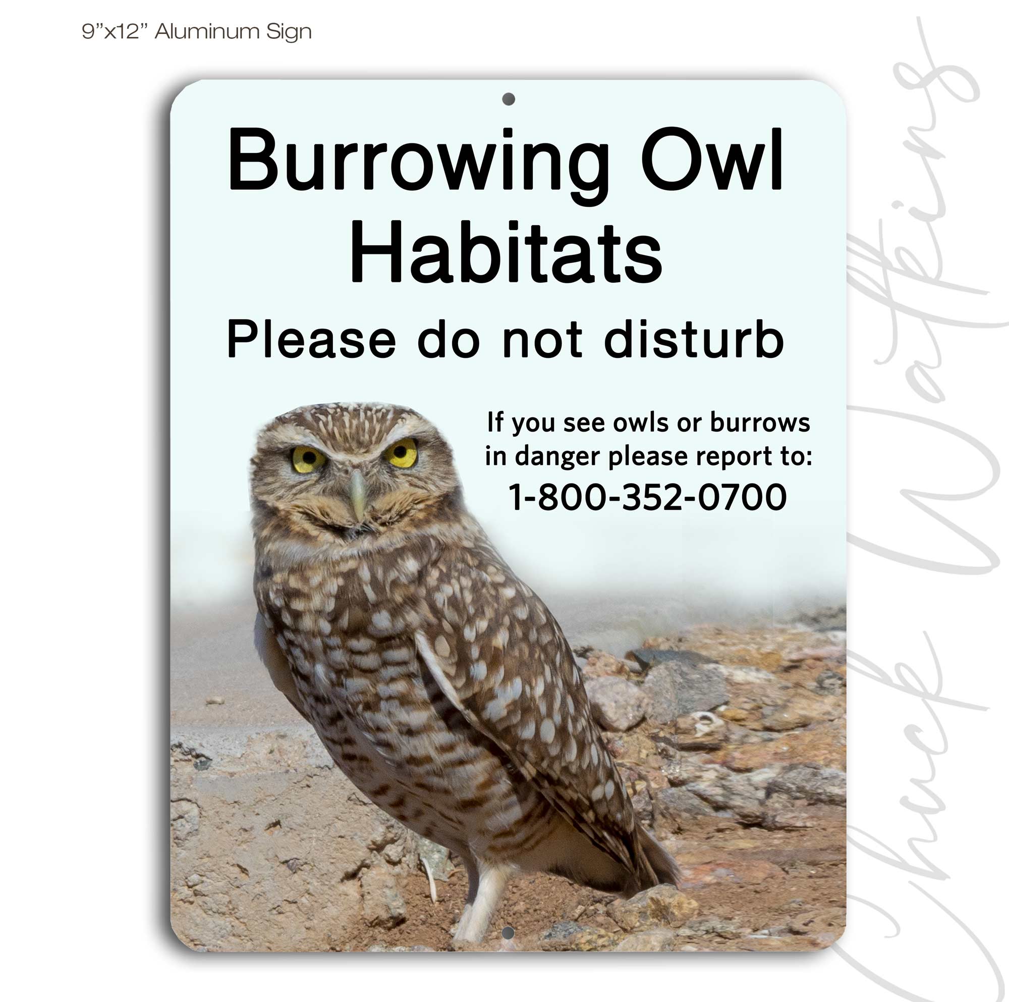 Burrows Signs Burrowing Owls In Burrows