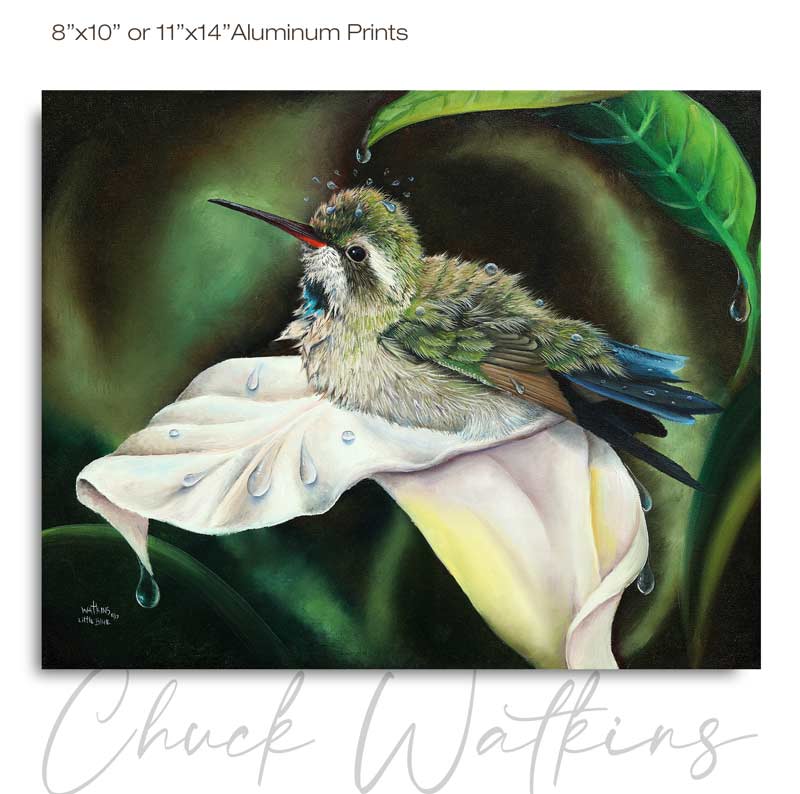 Little Blue on Calla Lily