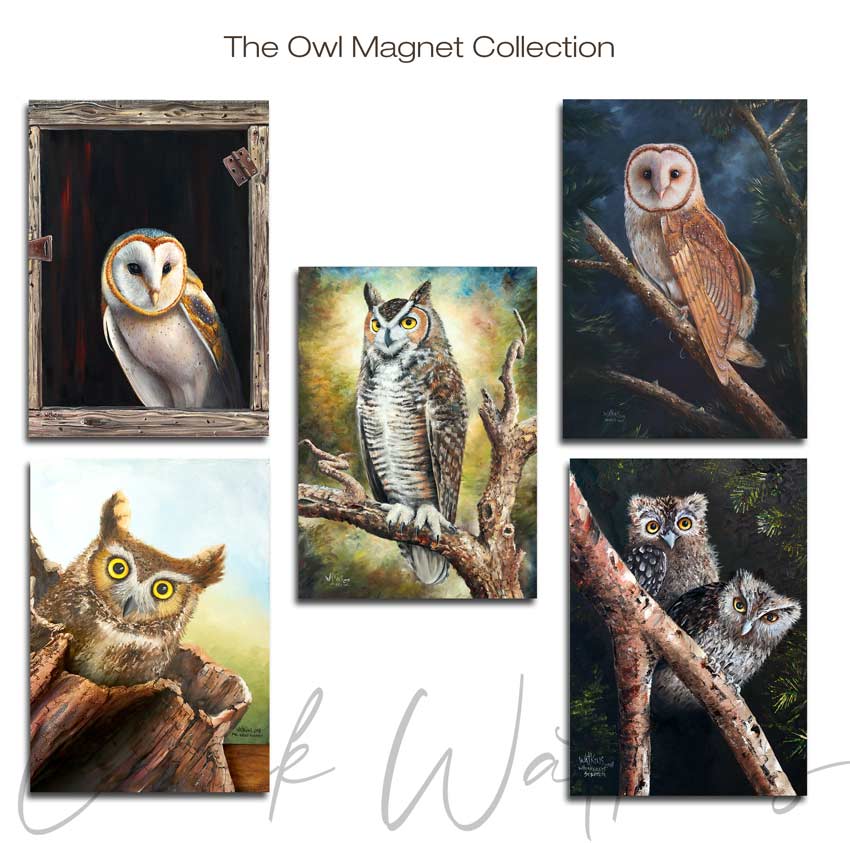 Owl Collection Magnet Collection