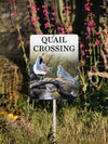 Quail Crossing Yard Sign