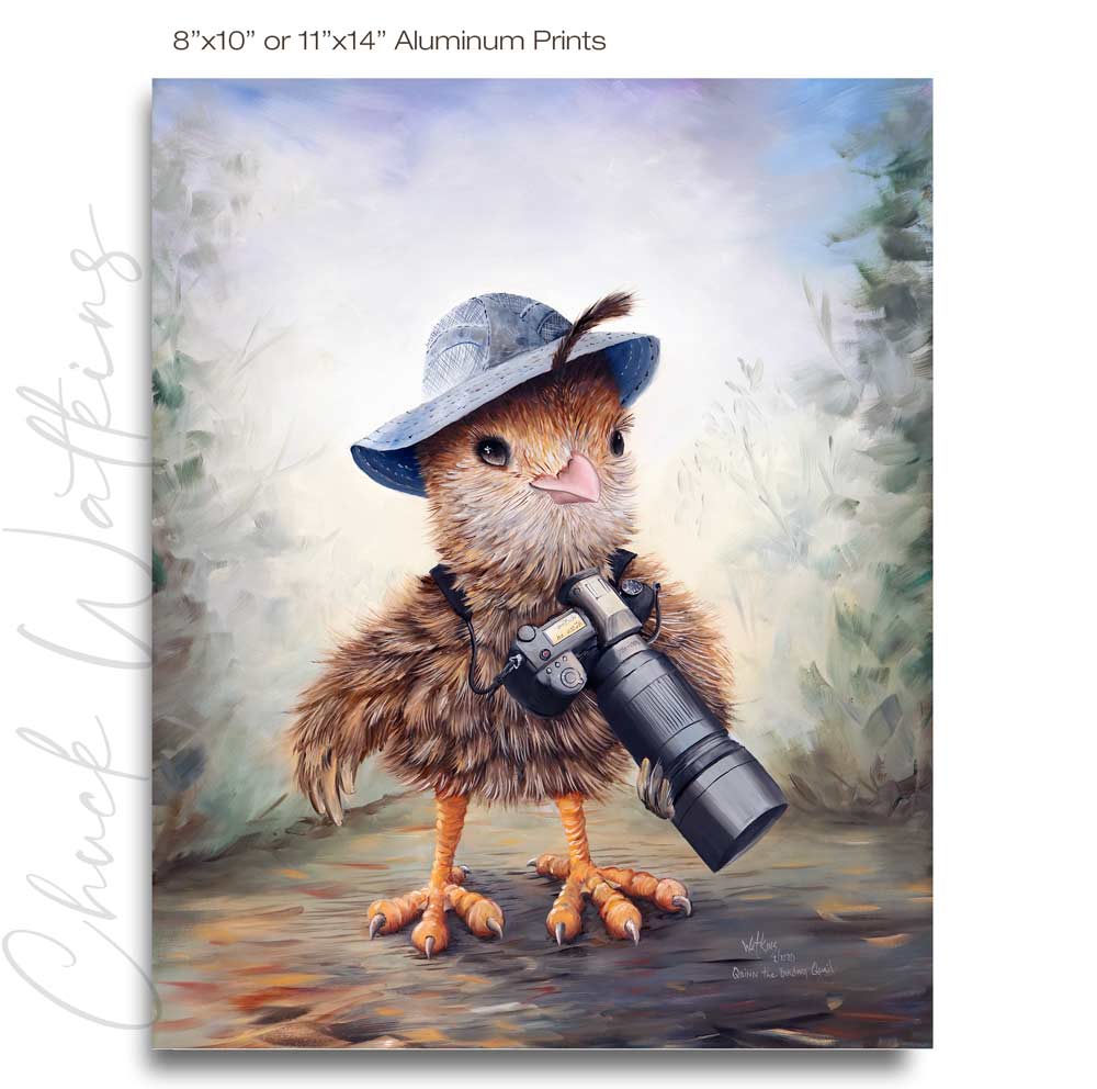 Quinn the Birding Quail