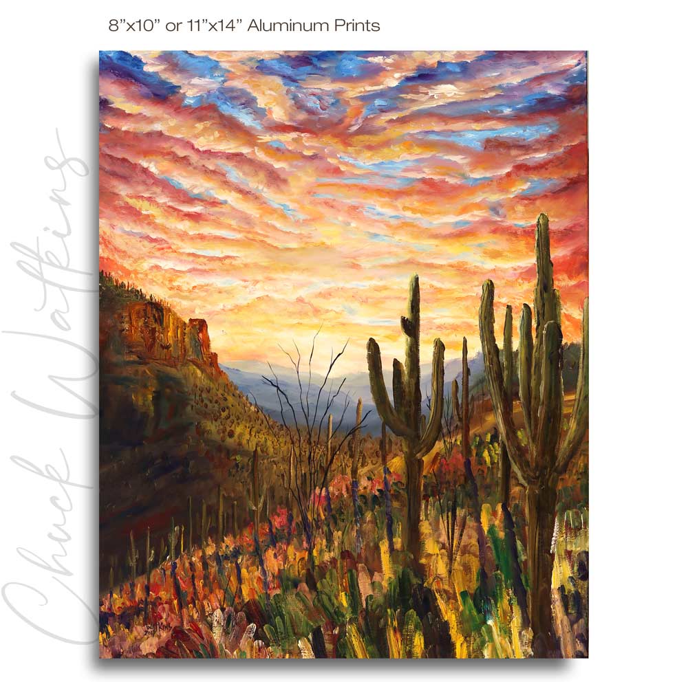 Saguaro National Park