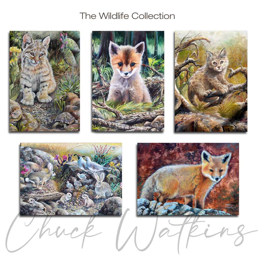 Wildlife Magnet Collection